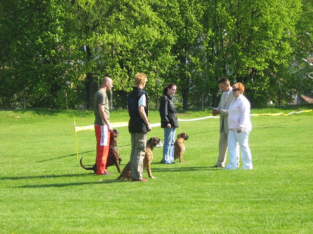 www.atibox.net * www.euroboxer.eu * www.boxergenealogia.eu